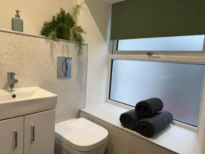 a bathroom with a toilet and a sink and a window at Fishermans Cottage at The Old Library in Aberystwyth