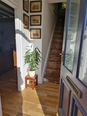 a plant sitting on a table next to a door at Rustic Welsh cottage in Llanwrtyd Wells
