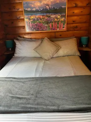 a bed in a room with a painting on the wall at Eryri Retreat in Trawsfynydd