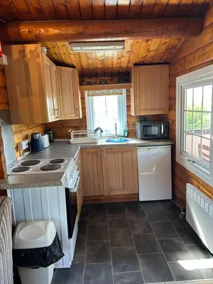 a kitchen with wooden cabinets and a stove top oven at Eryri Retreat in Trawsfynydd