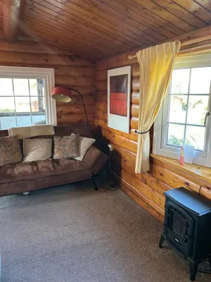 a living room with a couch in a log cabin at Eryri Retreat in Trawsfynydd