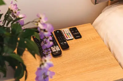 two remote controls sitting on a table next to a plant at 2 Bedroom Apartment - Parking - Walk to Town in Shrewsbury