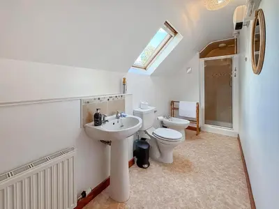 a bathroom with a sink and a toilet and a window at Brithdir in Welshpool