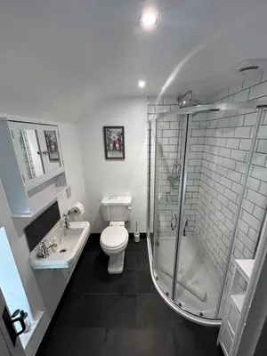 a bathroom with a shower and a toilet and a sink at Luxury Cottage near Dolgellau in Llanfachreth