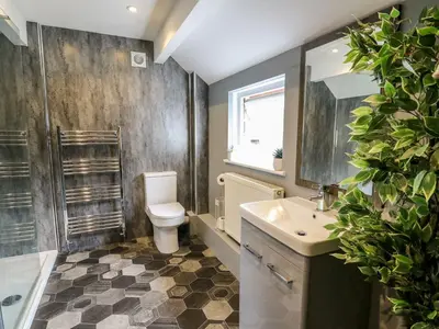 a bathroom with a toilet and a sink and a shower at 6 Upperfield Street in Dolgellau