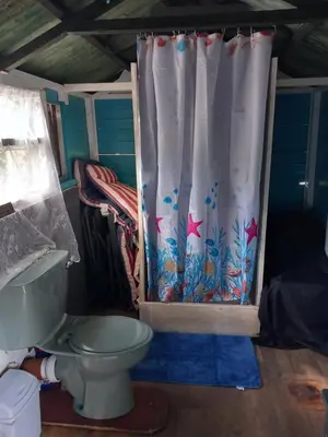 a bathroom with a toilet and a shower curtain at Hillside Retreats in Machynlleth