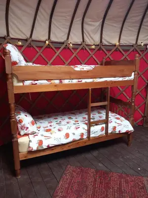 a couple of bunk beds in a yurt at Hillside Retreats in Machynlleth