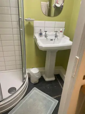 a bathroom with a sink and a shower and a toilet at Patchwork cottage - Grade 2 listed cottage in Snowdonia in Maentwrog