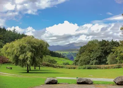 a tree in the middle of a green field at Beautiful Home In Bala, Gwynedd W in Llanfor