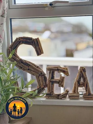 a couple of wooden sculptures sitting on a window sill at Preselli 5- Quay West Holiday Park, New Quay in New Quay