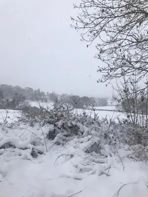 a snow covered field with trees and a body of water at Hyssington Heights in Hyssington