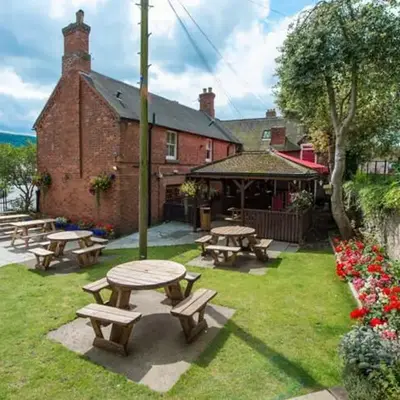 The bucks head