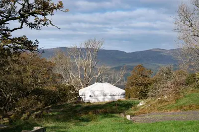 a yurt in the middle of a field with trees at Finest Retreats - Pandy Traditional Yurt in Dolgellau