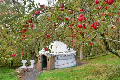 a small house in a garden with tomatoes on a tree at Finest Retreats - Pandy Mongolian Yurt in Dolgellau