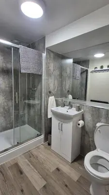 a bathroom with a shower and a toilet and a sink at Amaryllis Escapes in Brecon