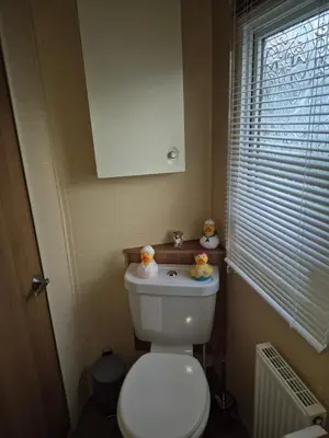 a bathroom with a white toilet and a window at The Dancing Dolphin, 124 Aber Bay Holiday Park, Clarach, Aberystwyth in Aberystwyth