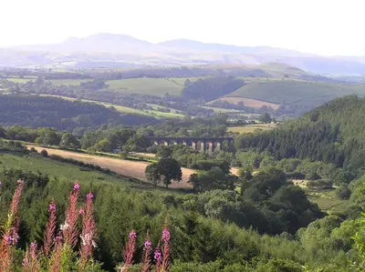 a view of a valley with hills and trees at Hobby Stable Cottage in Cynghordy