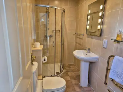 a bathroom with a shower and a toilet and a sink at Hobby Stable Cottage in Cynghordy