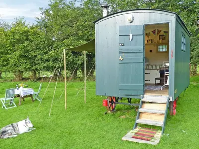 a dog laying on the grass next to a shed at Cwt Cwtshlyd in Tregaron