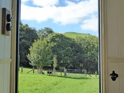 a view from a window of a field with cows at Cwt Cwtshlyd in Tregaron