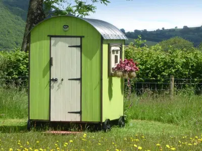a green outhouse with a door in the grass at Cwt Cwtshlyd in Tregaron