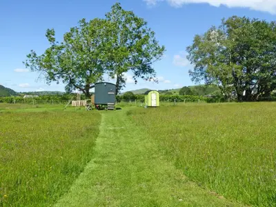 a path in a field with a barn and a tree at Cwt Cwtshlyd in Tregaron