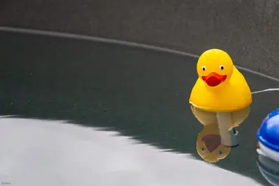 a yellow rubber duck sitting on top of a table at Erw-Fair in Arthog