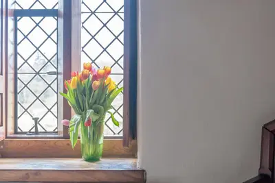 a vase of tulips sitting on a window sill at Hywel-Sele-Lodge in Llanfachreth