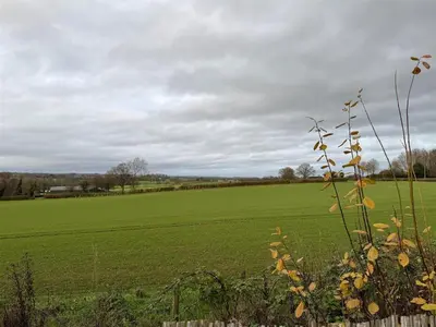 a field of green grass with a fence in the foreground at Woodland View House in Norton Canon