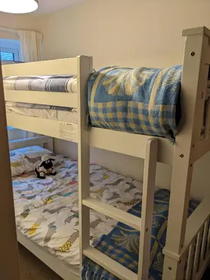 a bunk bed with a dog on the bottom bunk at Neifion in Aberdyfi