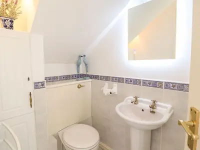 a bathroom with a toilet and a sink at Llwyn Derw in Talybont