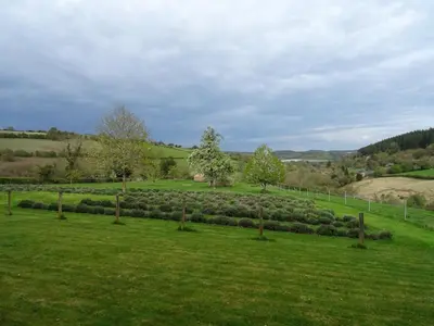 a garden with trees and bushes in a field at Willey Lane Farm in Lingen