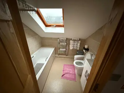 a bathroom with a tub and a toilet and a skylight at Nantsidyll Farm Spa & Holiday Lodges in Mydroilin