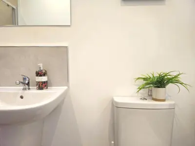 a bathroom with a sink and a toilet with a plant on it at Elegant interior-designed ground floor apartment - Pass the Keys in Shrewsbury