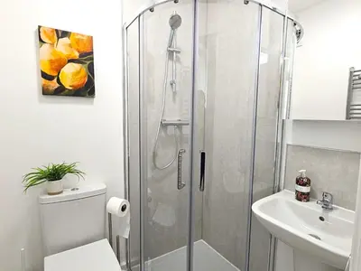 a bathroom with a shower with a toilet and a sink at Contemporary first-floor apartment close to town - Pass the Keys in Shrewsbury