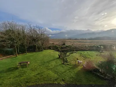 two animals standing in a grassy field at 2 Bed in Llanelltyd oc-s34505 in Llanelltyd