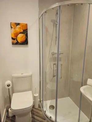 a bathroom with a shower with a toilet and a sink at Stylish and newly renovated penthouse apartment - Pass the Keys in Shrewsbury