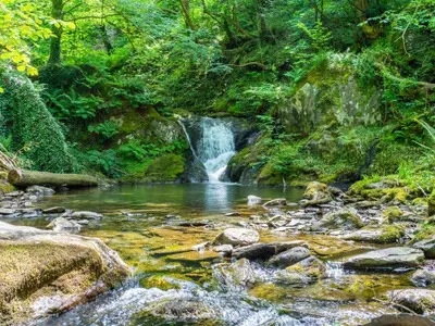 a waterfall in the middle of a stream in a forest at 3 Bed in Islawrdref oc-t34600 in Penmaenpool