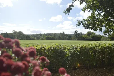a field of flowers and a field of grass at Lavender Lodge