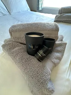 a blanket with two cups and a camera on a bed at Dolphin View in Llanddwywe