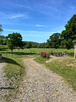 a gravel road leading to a field with trees at Oakies Farm Stays XL in Llandovery