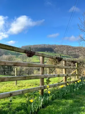 a wooden fence in a field with flowers at Oakies Farm Stays XL in Llandovery
