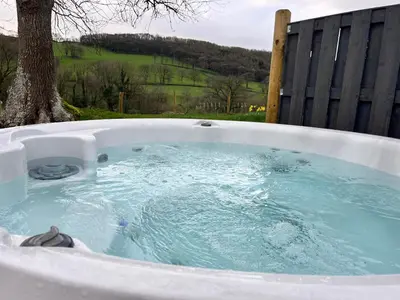 a jacuzzi tub with a tree in a yard at Oakies Farm Stays XL in Llandovery