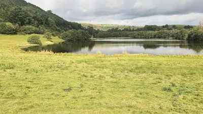 a lake in the middle of a field with grass at Abbey Cottages - Buzzards Watch in Talley