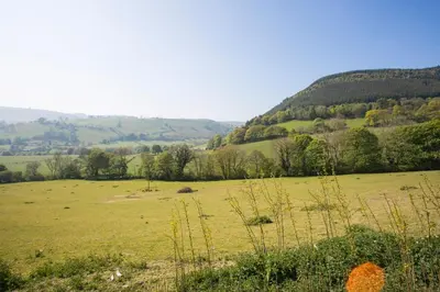 a field of green grass with hills in the background at Tanat Valley Farmhouse in Hirnant