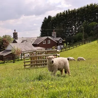 Bryn Y Garreg Cottage - The Wireless Tech Free Farm