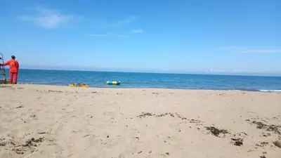 a man standing on a beach near the ocean at Canad Adar - Song of the Birds - Teifi Valley in Llanwenog