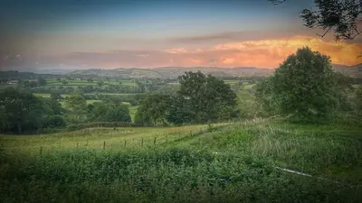 a view of a field with trees and a fence at Canad Adar - Song of the Birds - Teifi Valley in Llanwenog