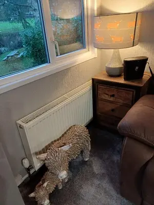 a stuffed animal in the corner of a room with a lamp at The Little lodge on the lake in Welshpool