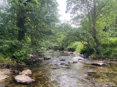 a river with rocks and trees in a forest at Bronfelin & Troed-y-Rhiw Holiday Cottage in Llanwrtyd Wells